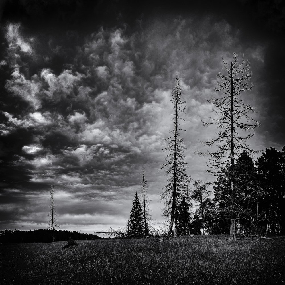 Photograph by Сергей Забиякин