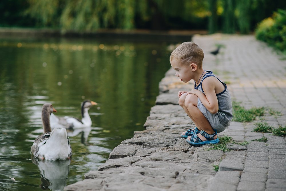 Photograph by Елена Ганненко