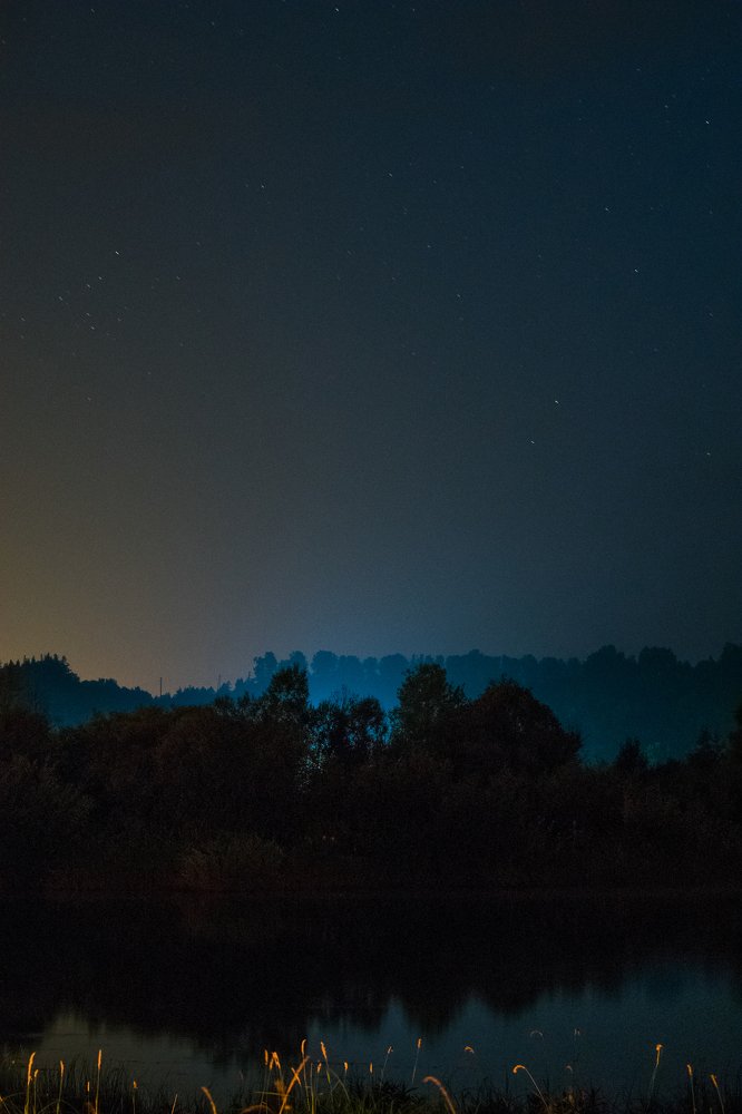 В полночь вселенная пахнет звёздами.  Эрих Мария Ремарк