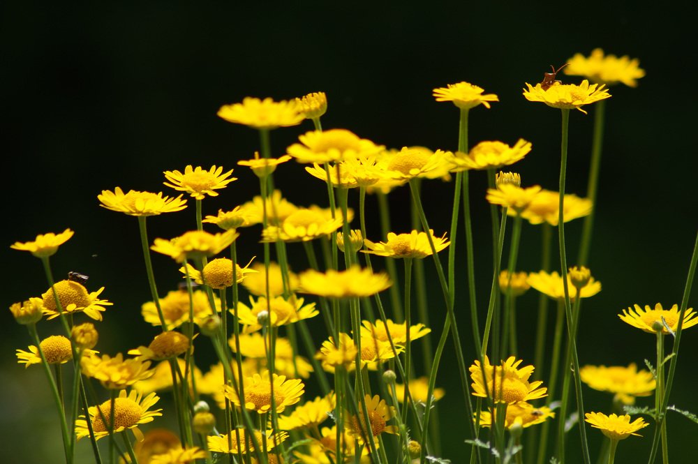 Photograph by Сергей Забиякин