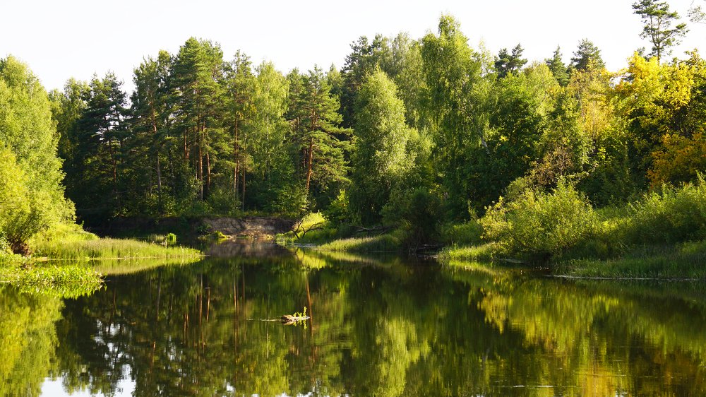 Берега Керженца