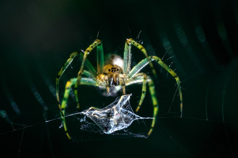 Запутать хочу