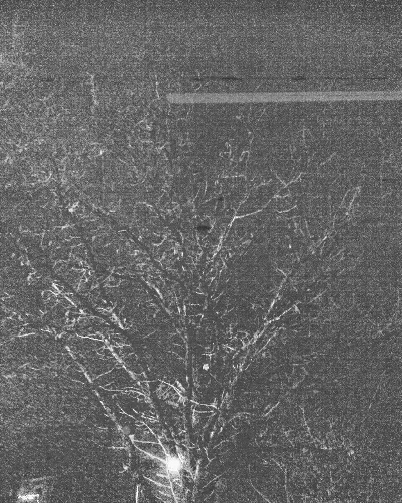 concrete wood
