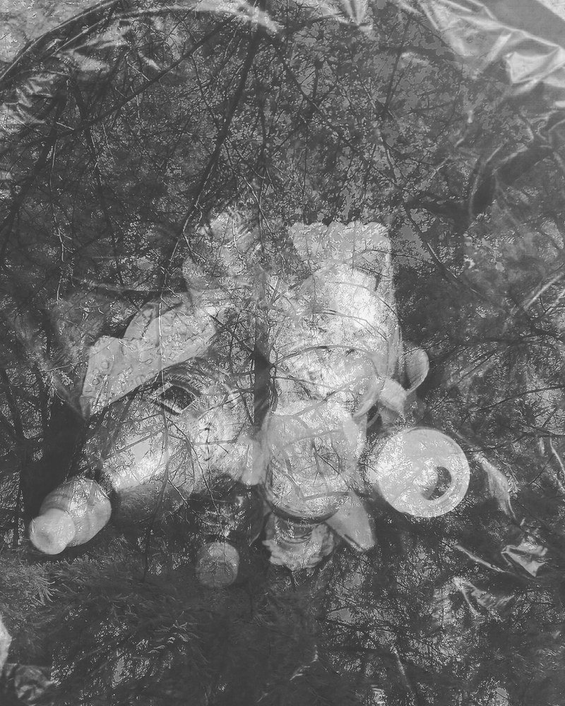 trash and nature
