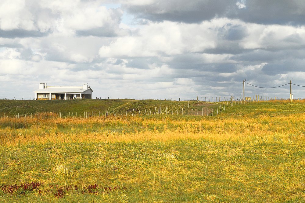 Van Gogh's Yellows Under Polonio Sky
