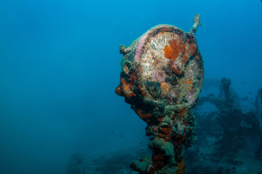 Photograph by Александр Иванов