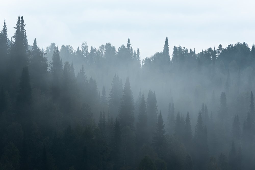 Photograph by Михаил Рогачев