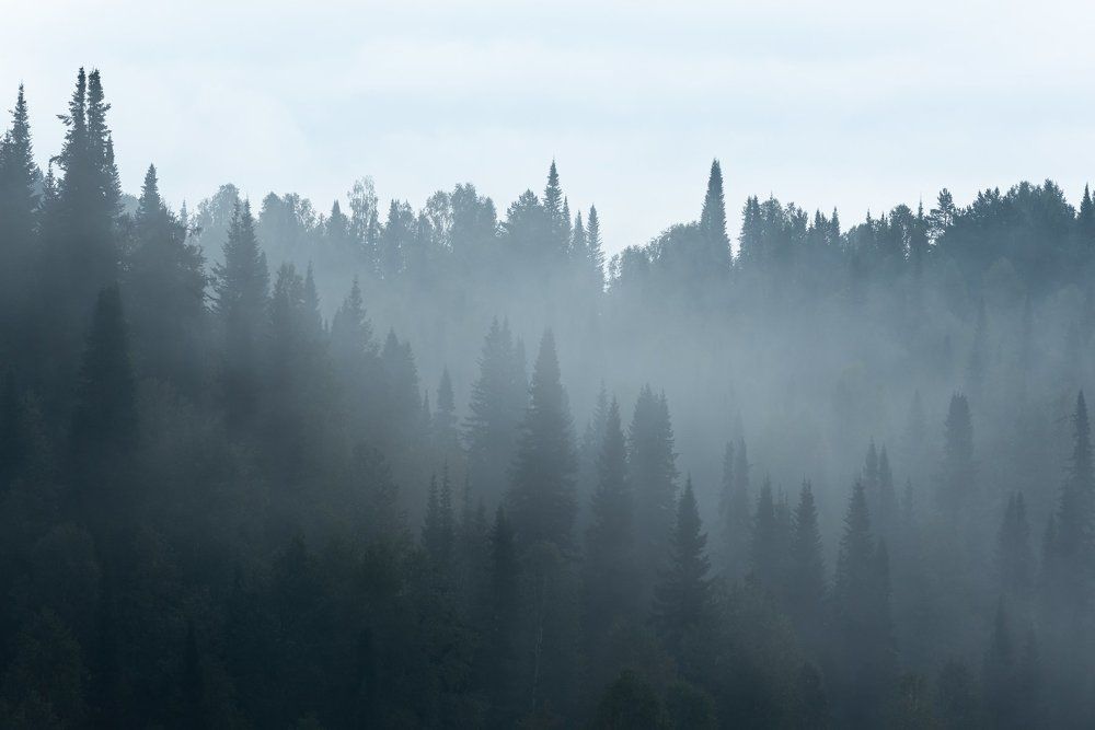 Photograph by Михаил Рогачев