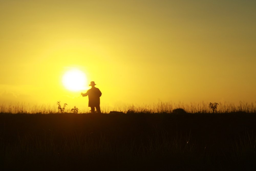 Ngày mùa của người nông dân