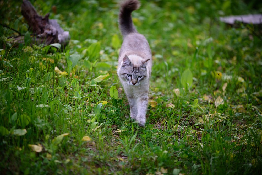 Photograph by Михаил Рогачев