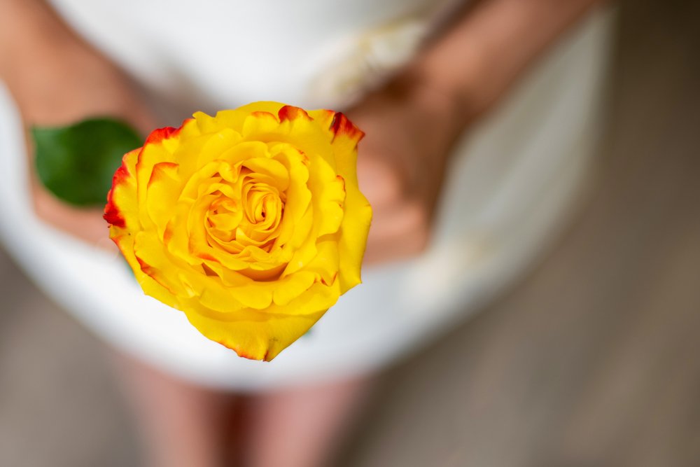 Photograph by Кадырова Марина