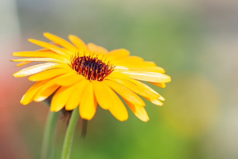 Photograph by Кадырова Марина