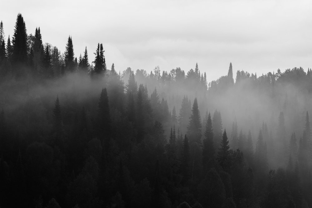 Photograph by Михаил Рогачев