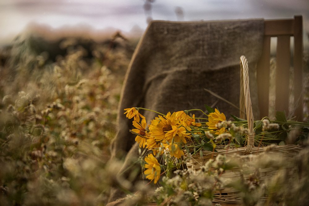 русское поле