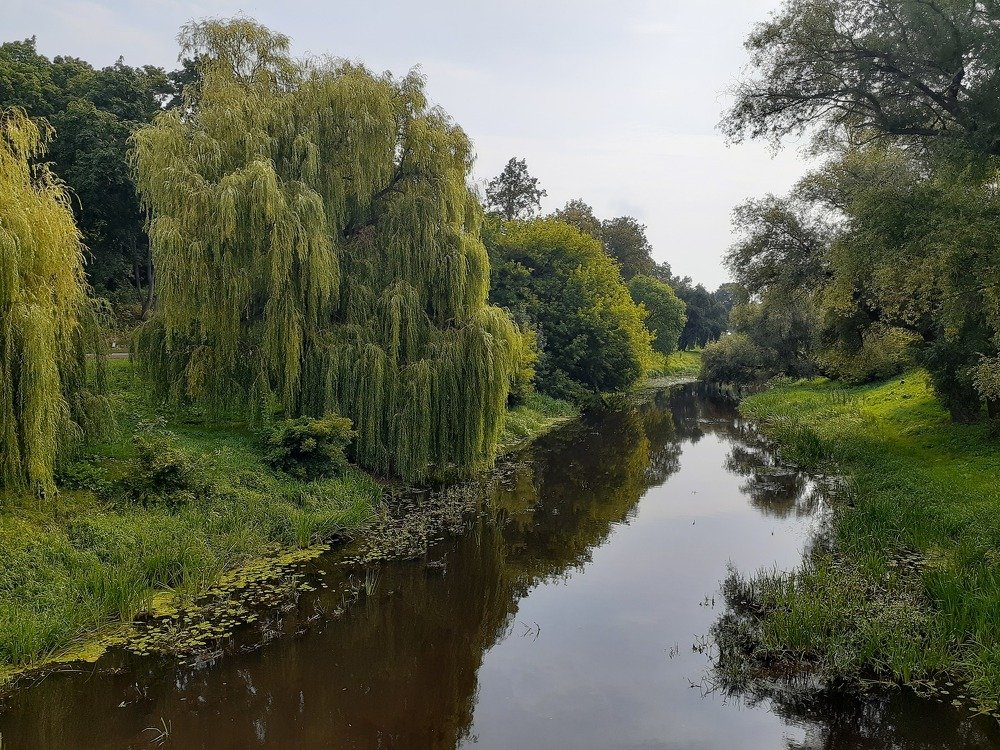 Сказка просыпается