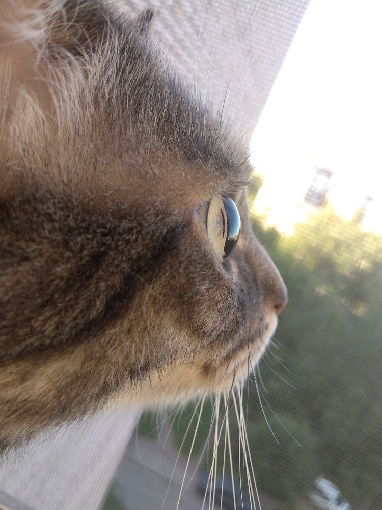 Взгляд в будущее