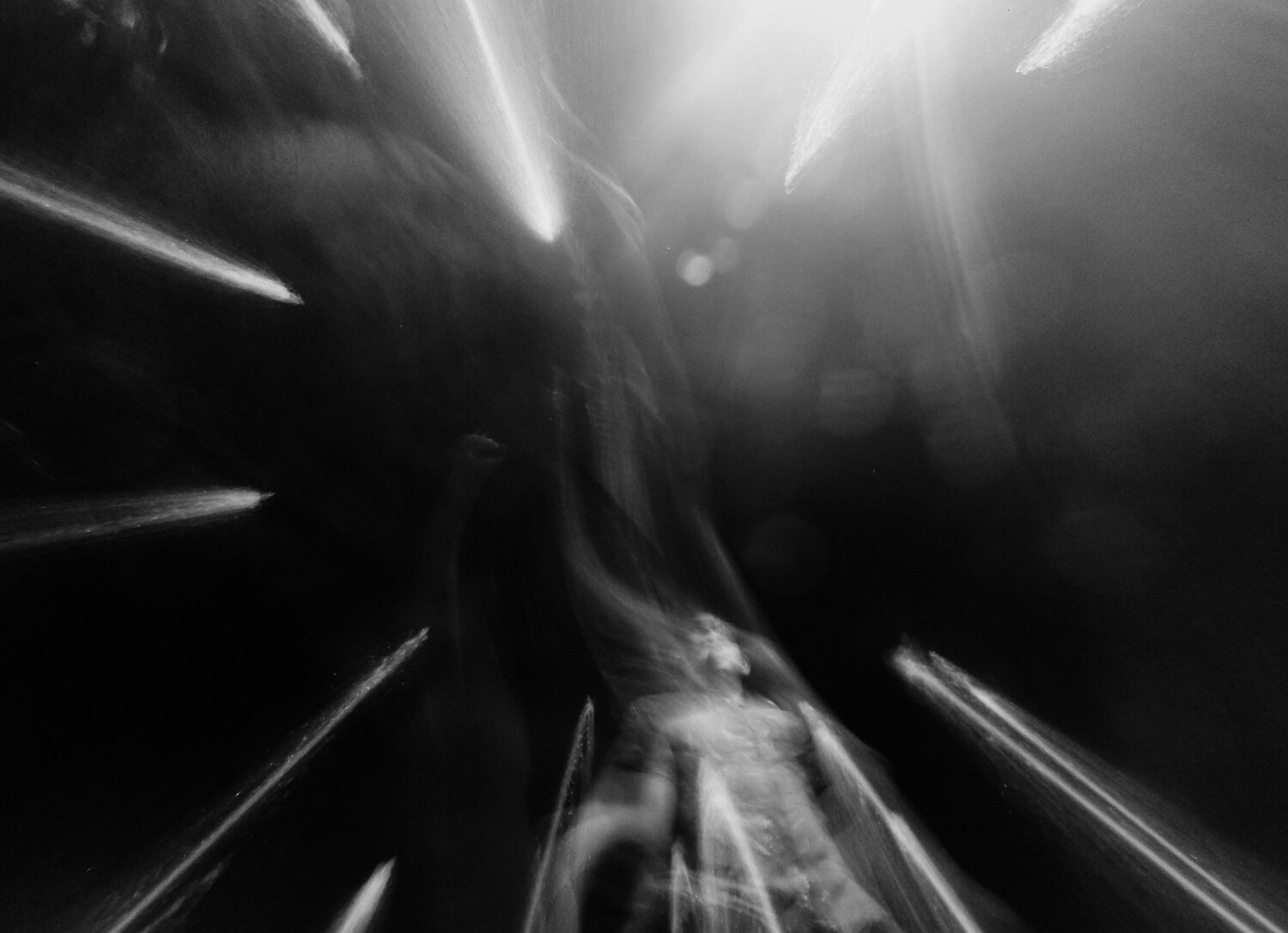 Photo #3498107