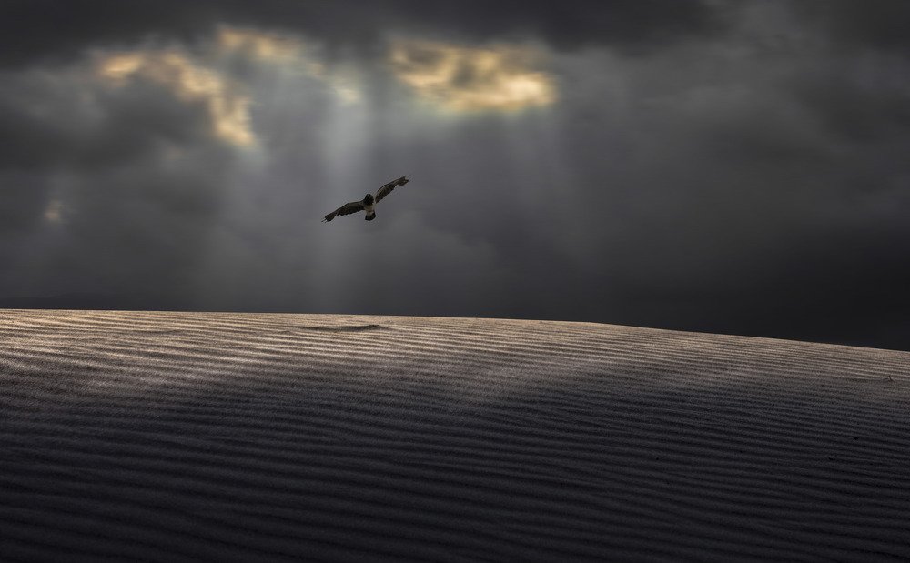 Photograph by Leonid Lan