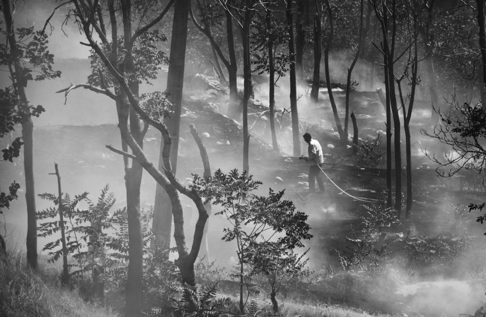 Photograph by Farshad Yazdankhah