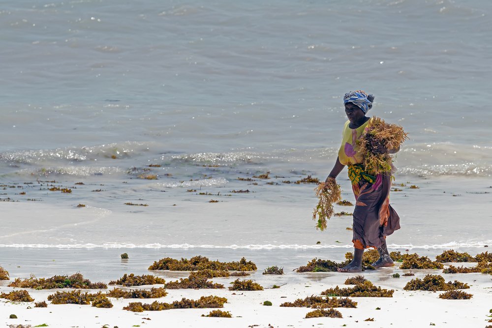 Женщины Танзании