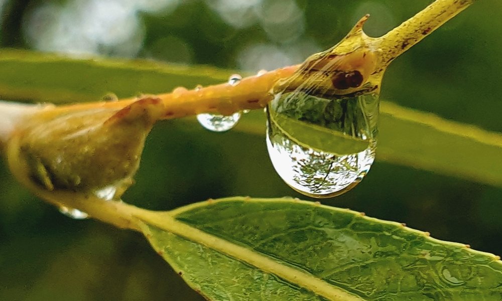 огромный мир в одной капле