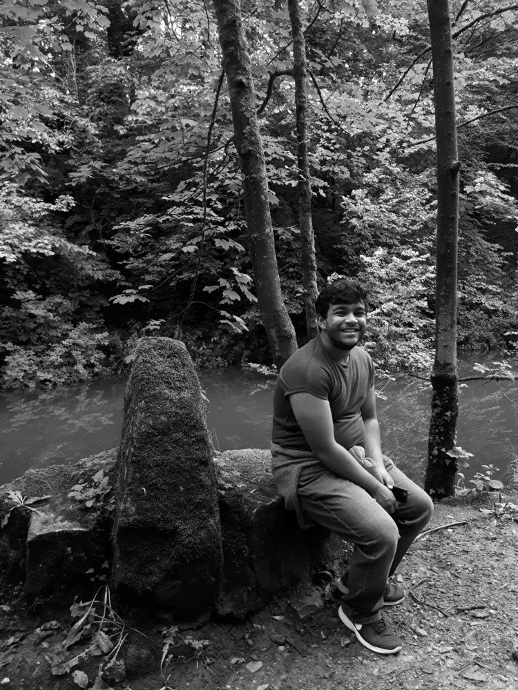 Forest time
