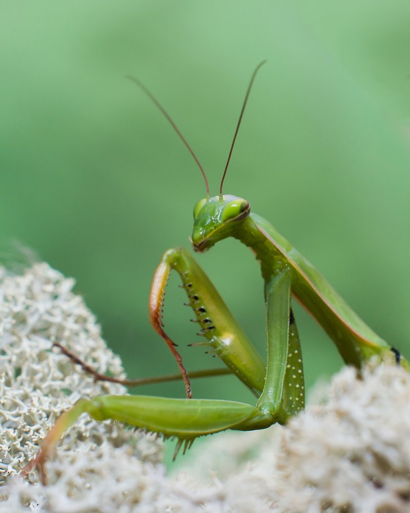 Photograph by Алексей Козлов