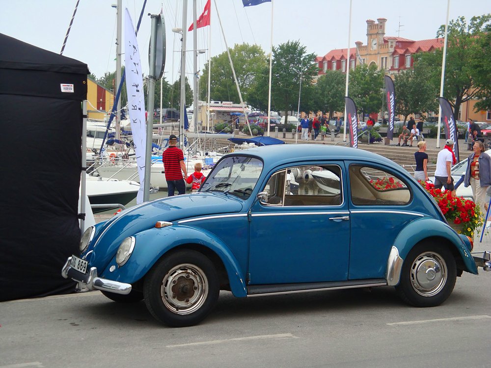 Голубой Жук