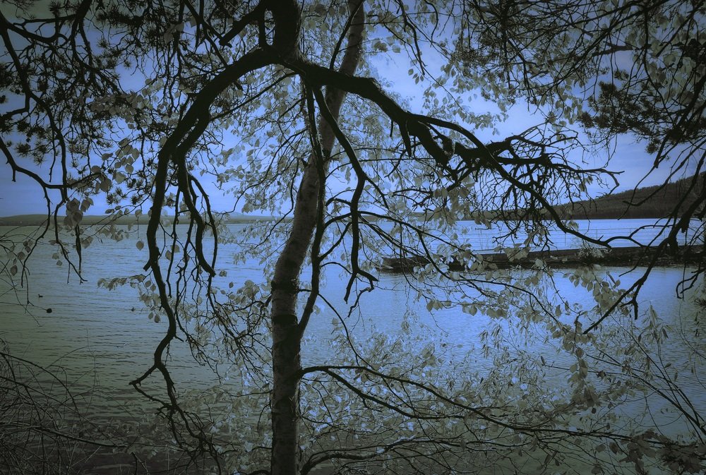 Photograph by Алия Байсыкова