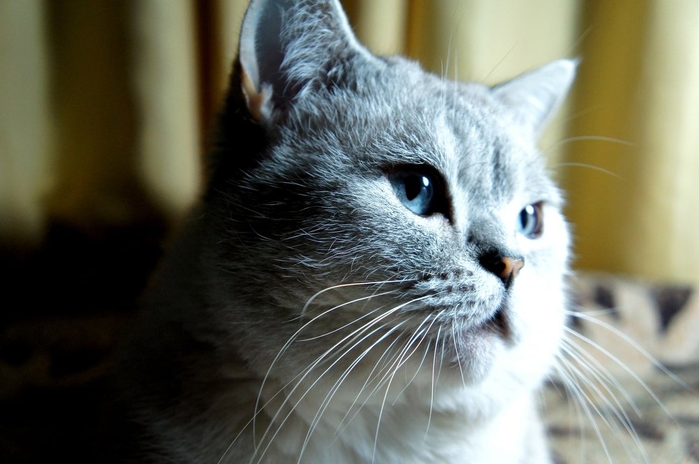 Photograph by Elena