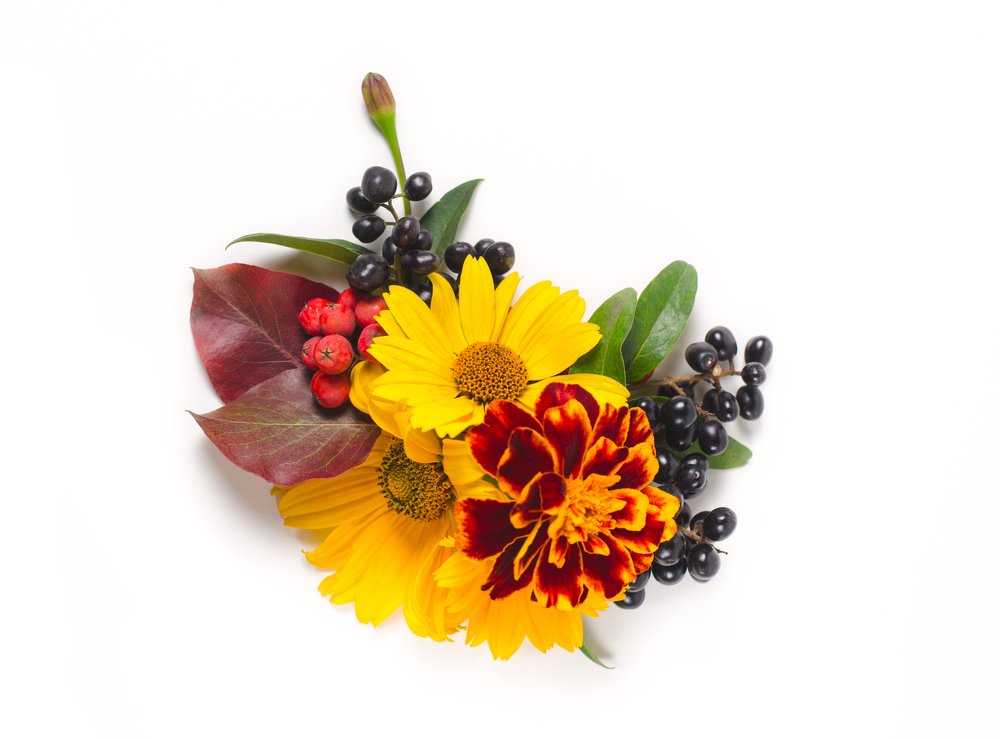 Photograph by Анна Айбетова