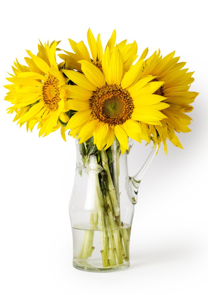 Photograph by Анна Айбетова