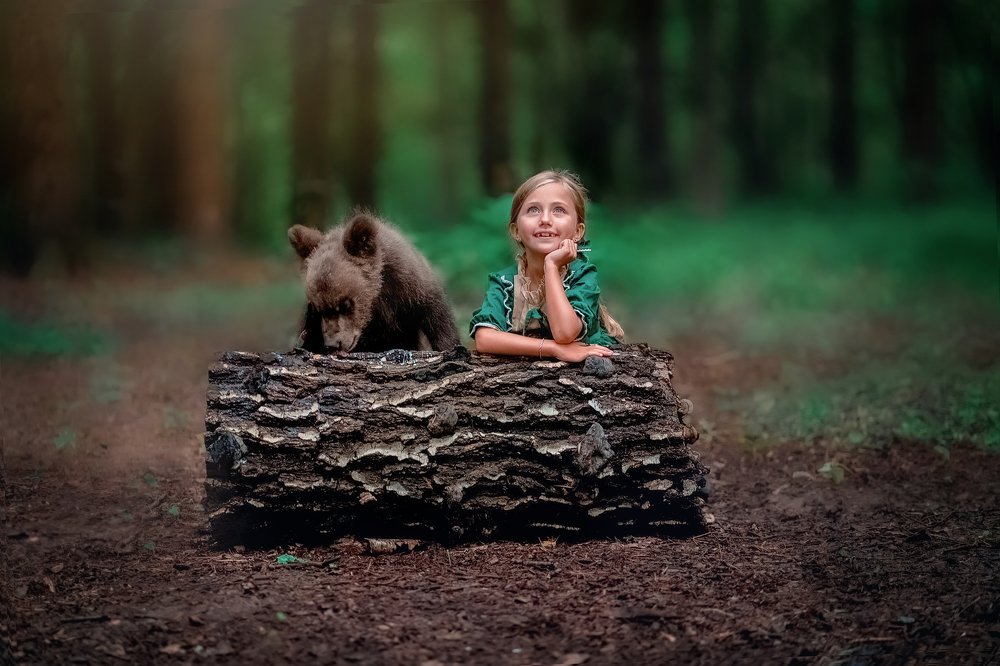 Мишки в лесу