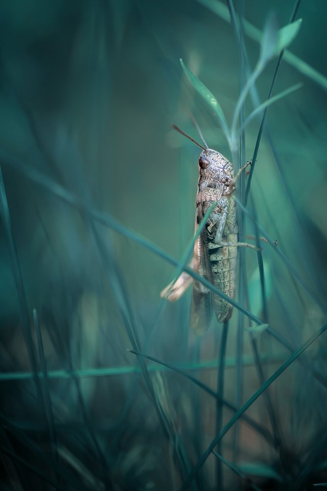 Photograph by Юлиана Джус