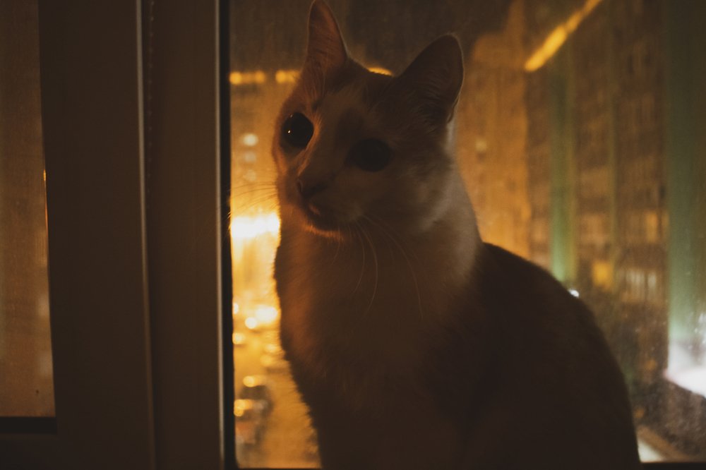 Вечерние посиделки