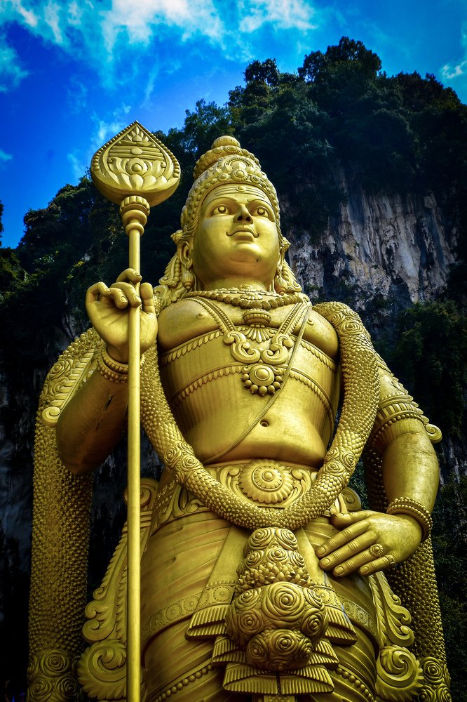 Yellow Murugan