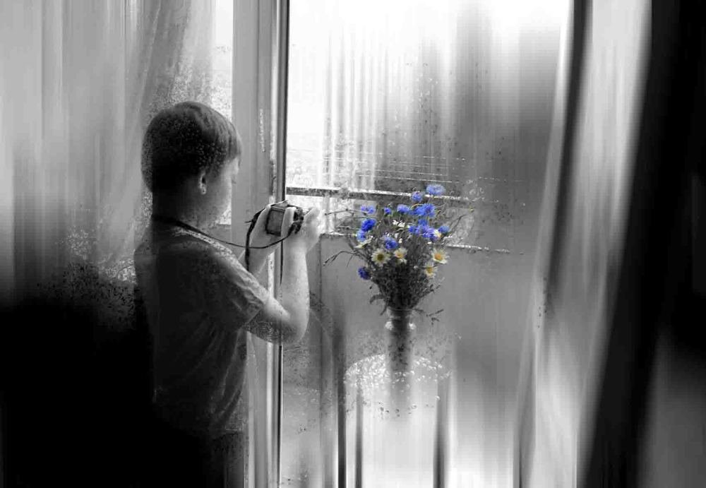 Про васильки и ромашки...