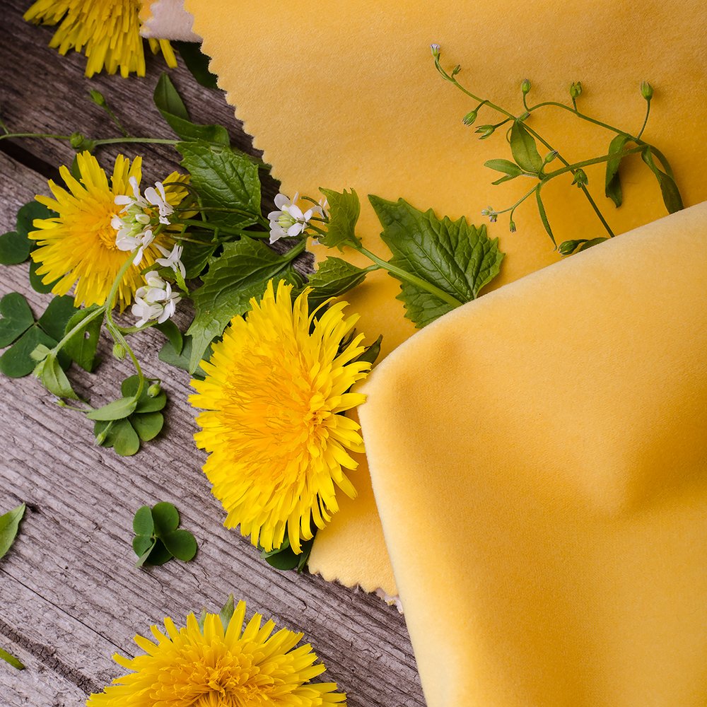 Photograph by Анна Айбетова