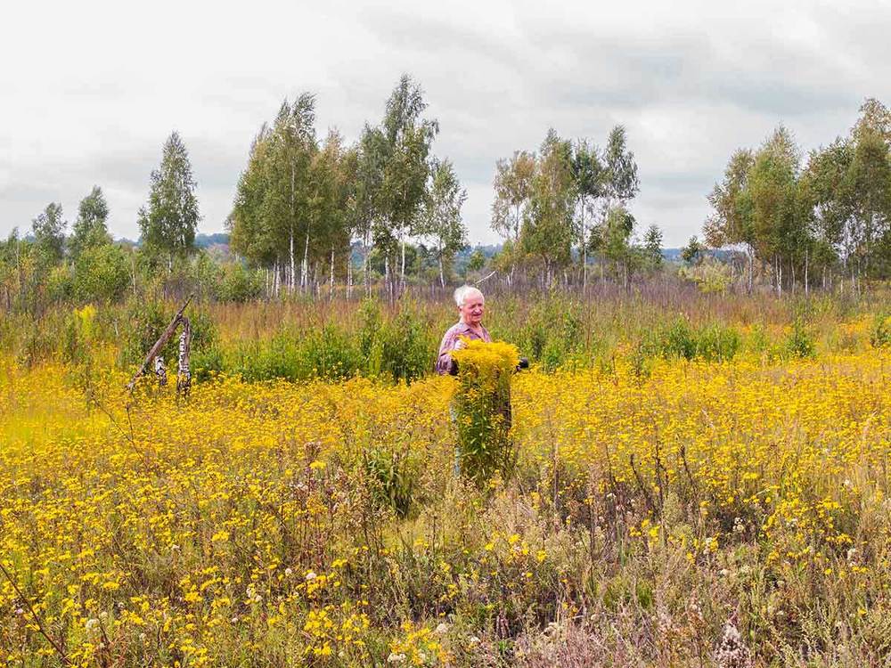 Портрет художника А.П.