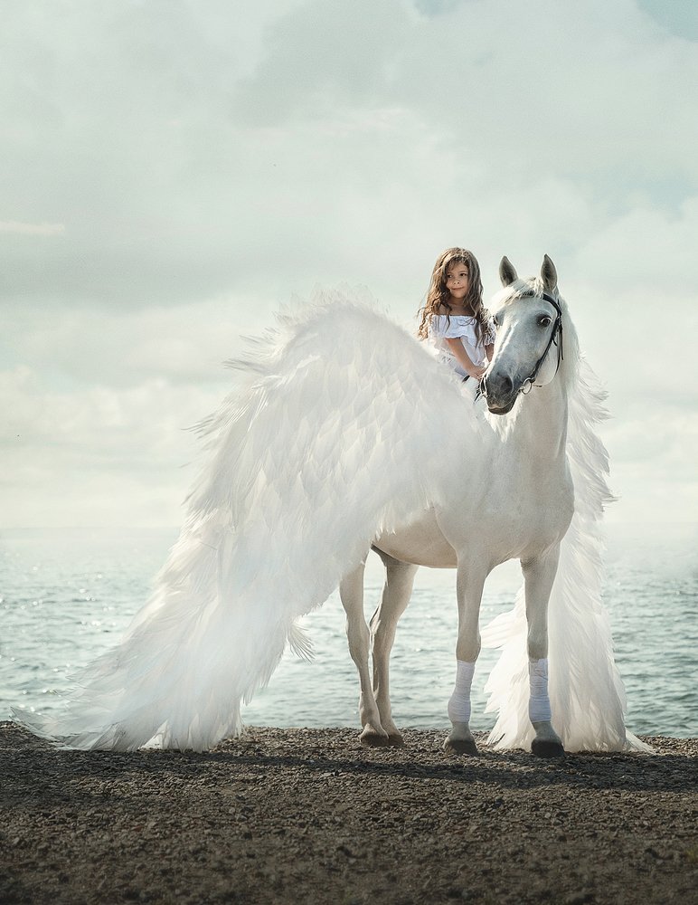 Окрылённые