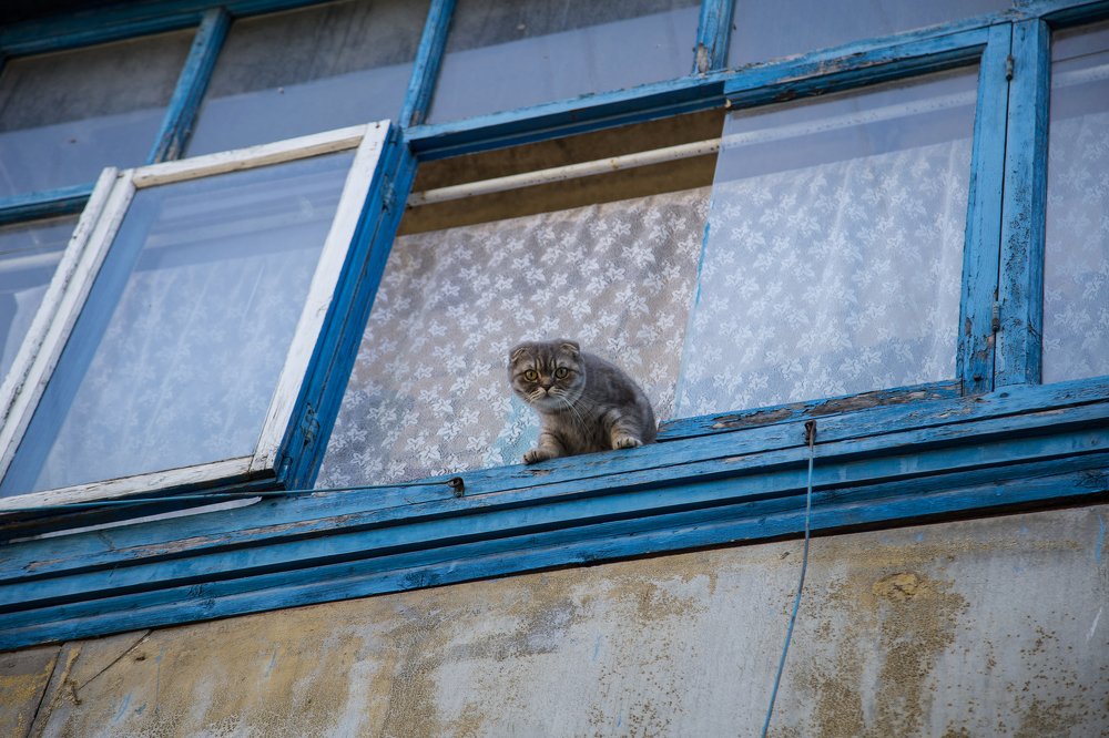 Куда идешь человек?