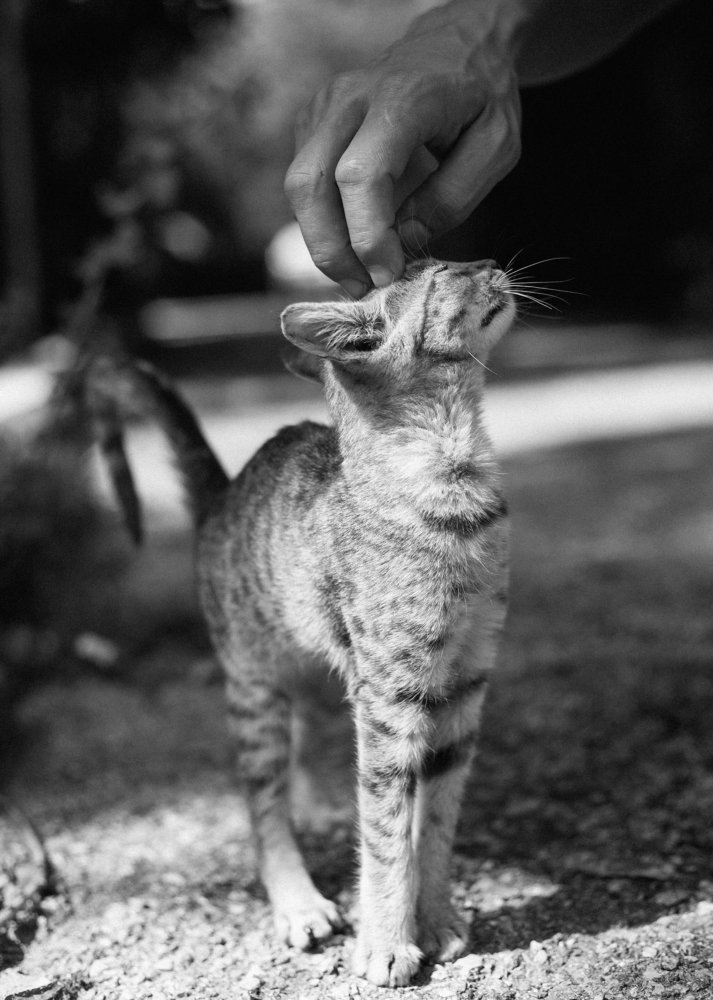 Photograph by Станислав Косматулин