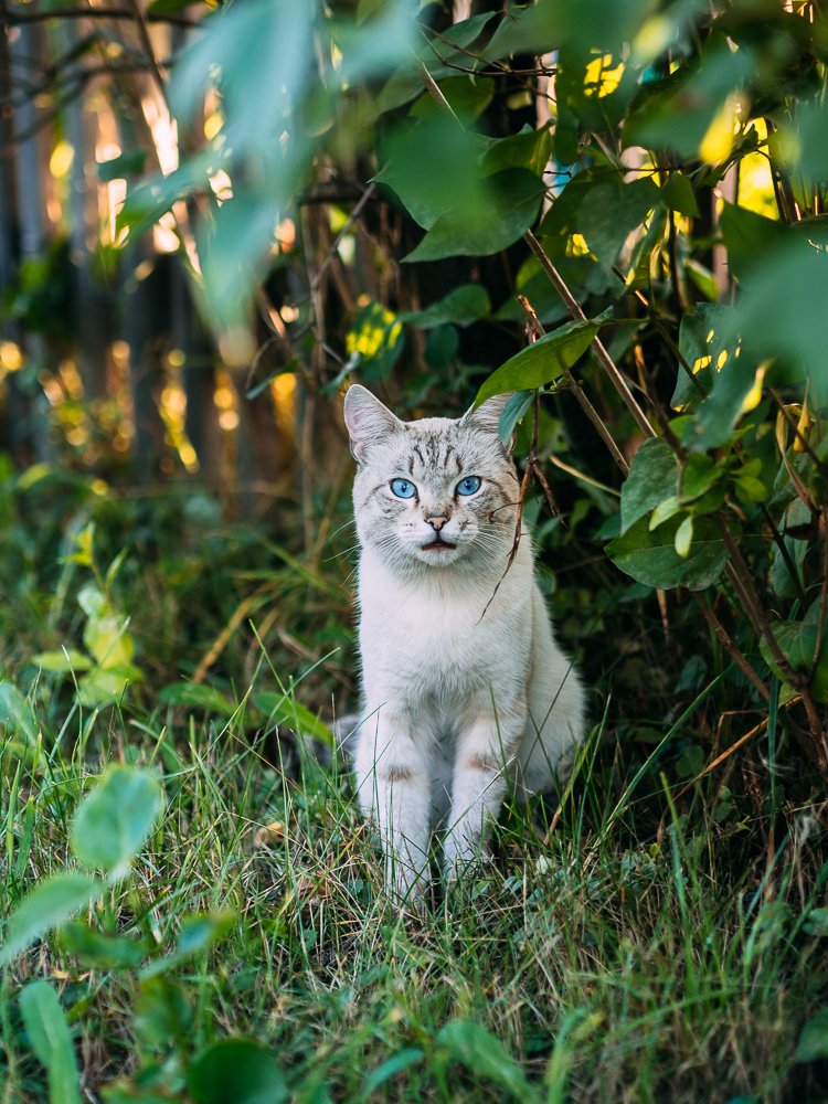 Photograph by Надежда Рачева