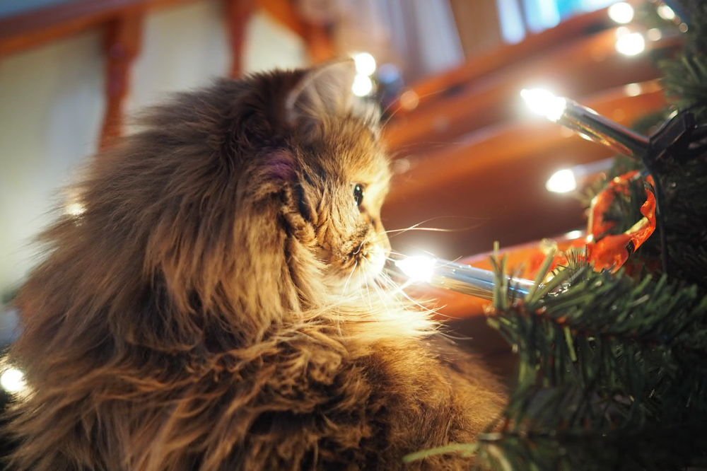 Photograph by Надежда Рачева