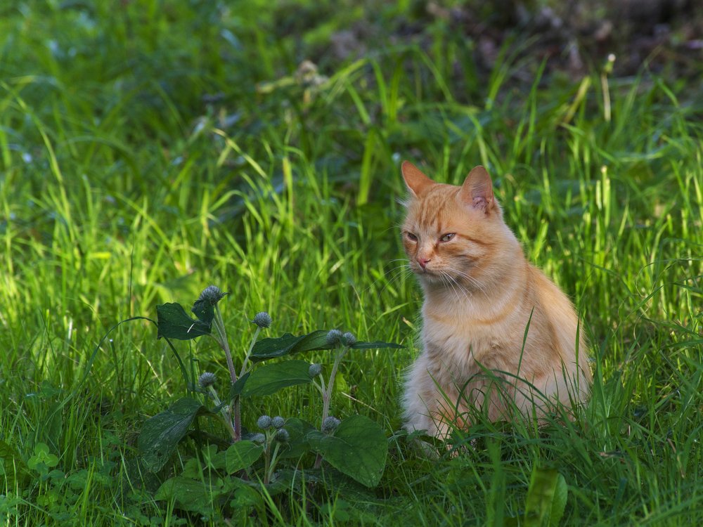 Photograph by Елена Стещенко