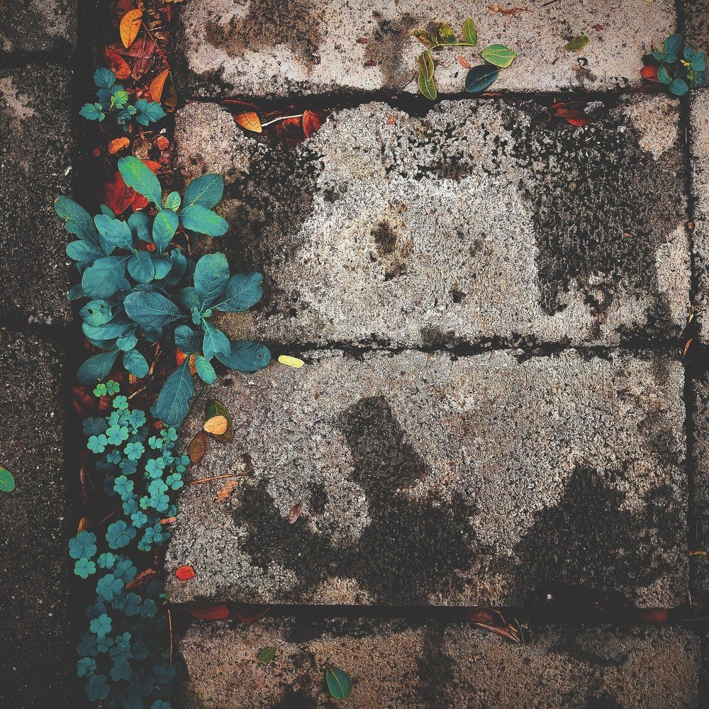 Sos