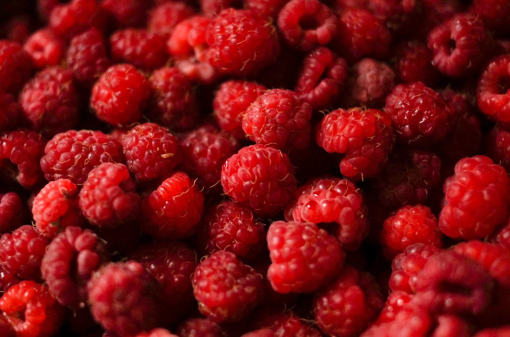 Photograph by Илья Бузаев