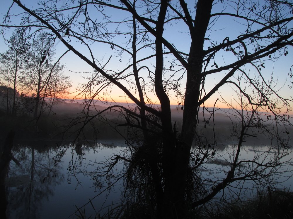 Photo #3499694