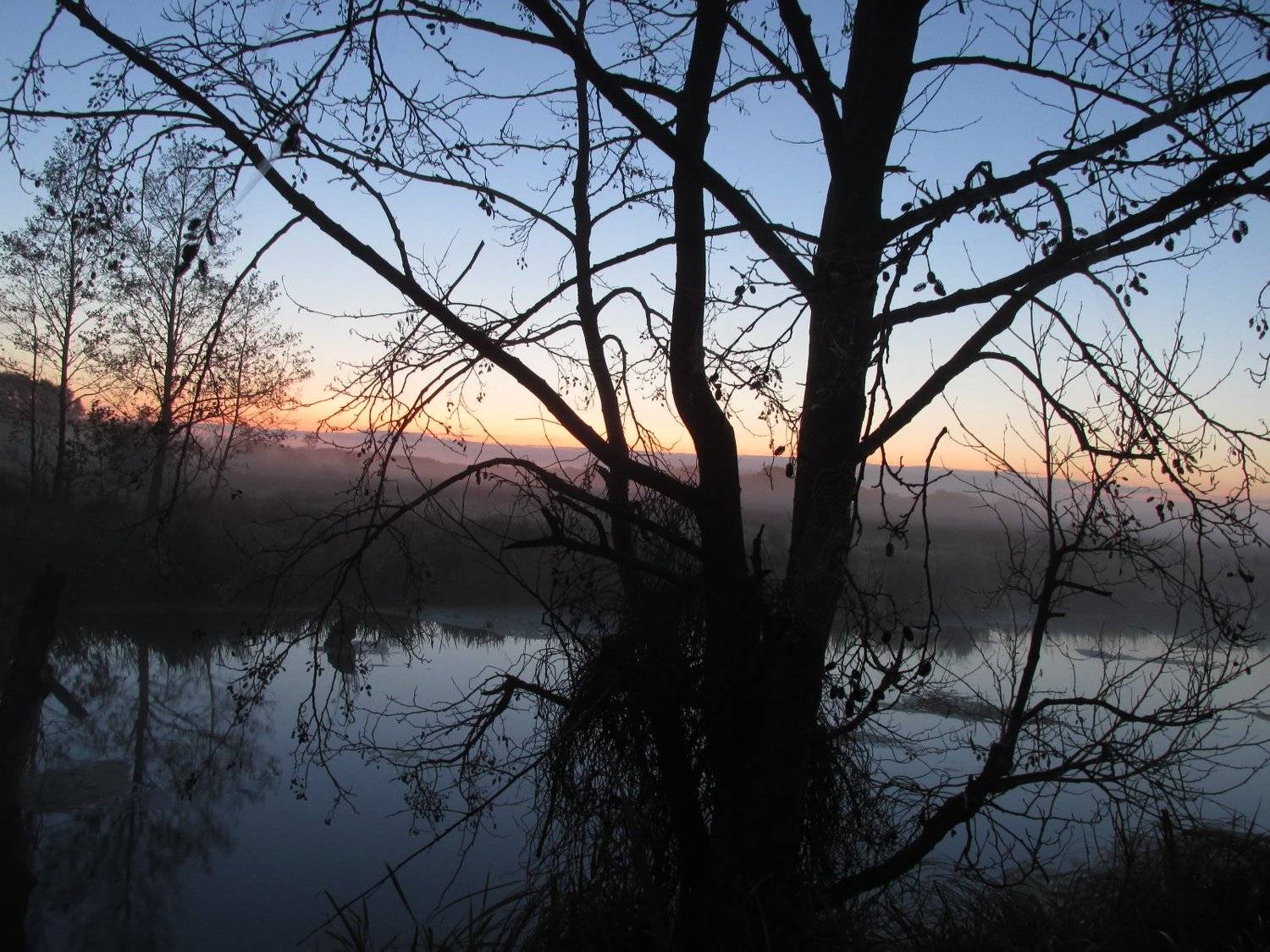 Photo #3499694