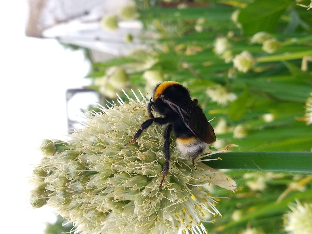 Photograph by Grayson